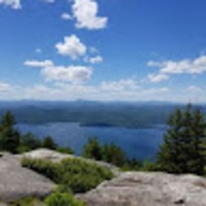 Meet your Posher, Robin